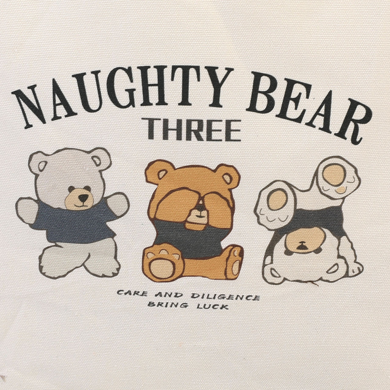 กระเป๋าผ้าดิบ - BAG002 - Image 5